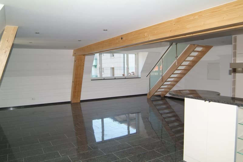Appartamento duplex in città con terrazza spettacolare (3)