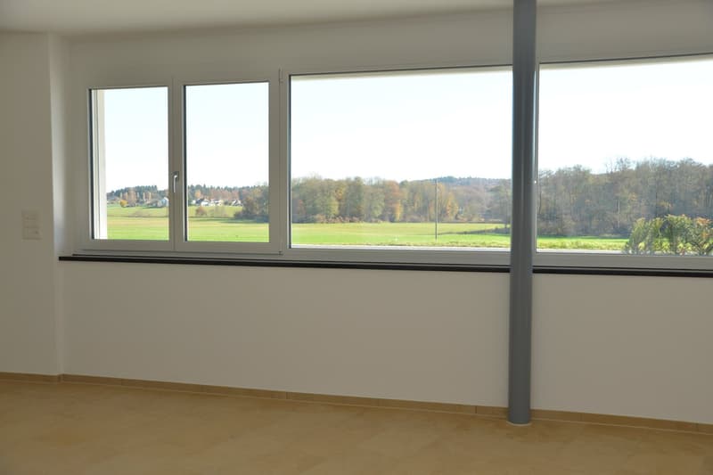 Trendige Basementflat, Wohnen Nähe Aeschisee (3)
