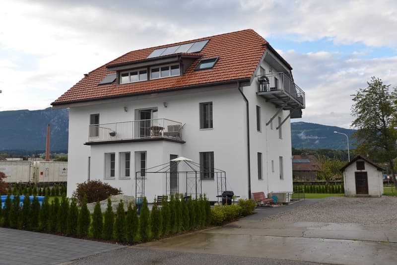 offene Dachwohnung am Dorfrand, im Grünen (2)