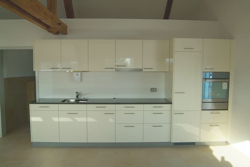 offene Dachwohnung am Dorfrand, im Grünen (6)