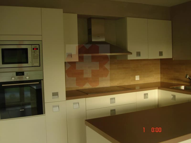 Appartement de luxe 4 chambres dans un cadre pittoresque de Bex (8)