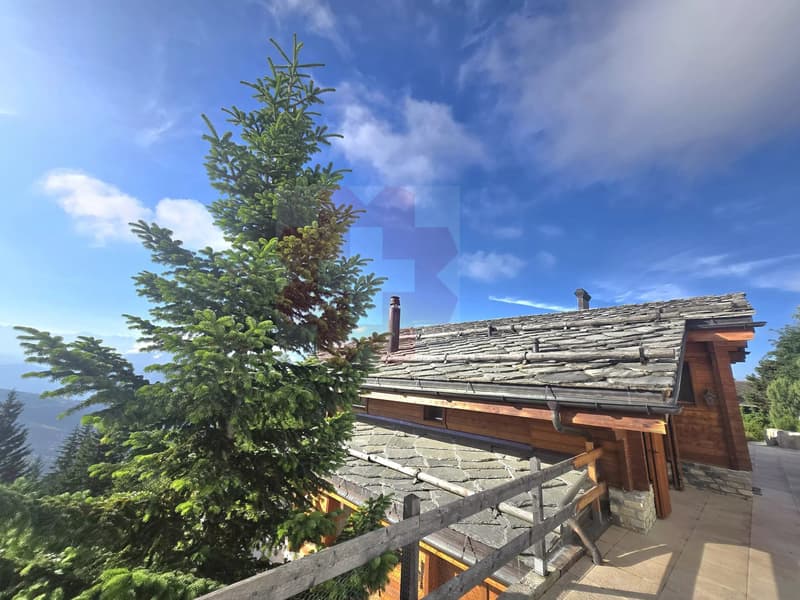 Exceptional Chalet in Anzère ? Secondary residence authorized and acquisition by foreigners (4)