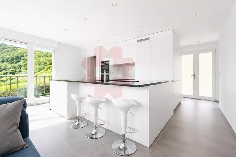 Villa contemporaine de 4.5 pièces à Vouvry (5)