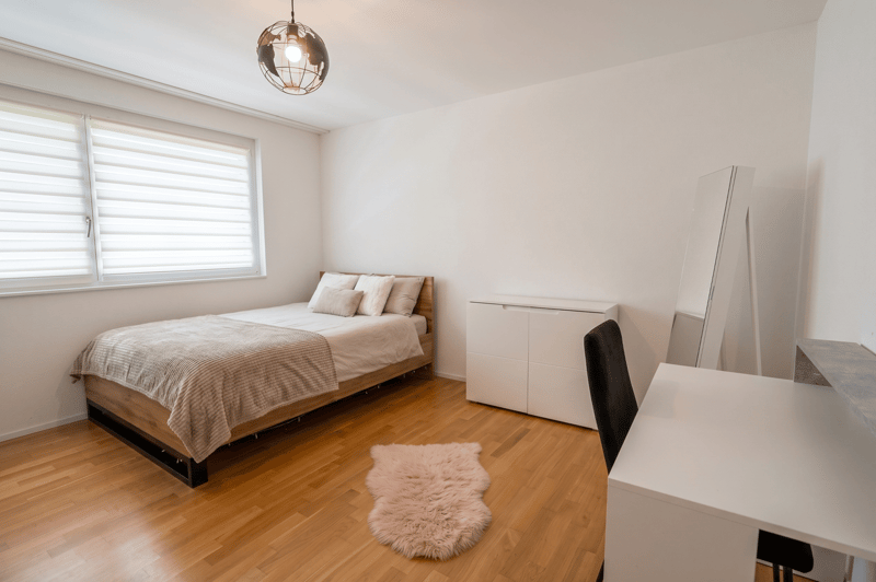 Bright 4.5-room apartment with private laundry tower and spacious balcony (3)