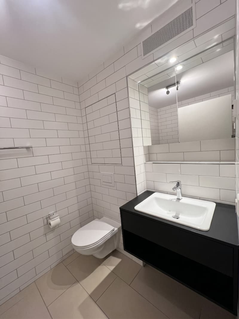 Bright 4.5-room apartment with private laundry tower and spacious balcony (6)