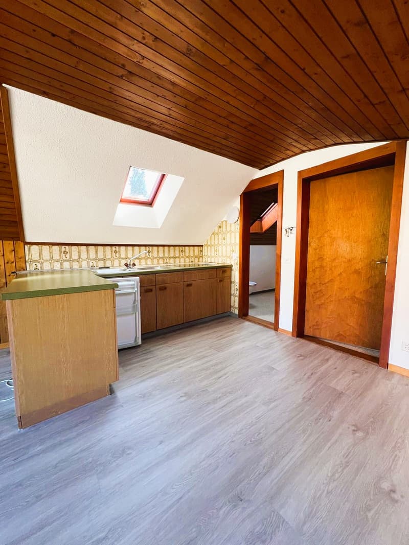 Spacious studio in Mühlethal for rent (3)
