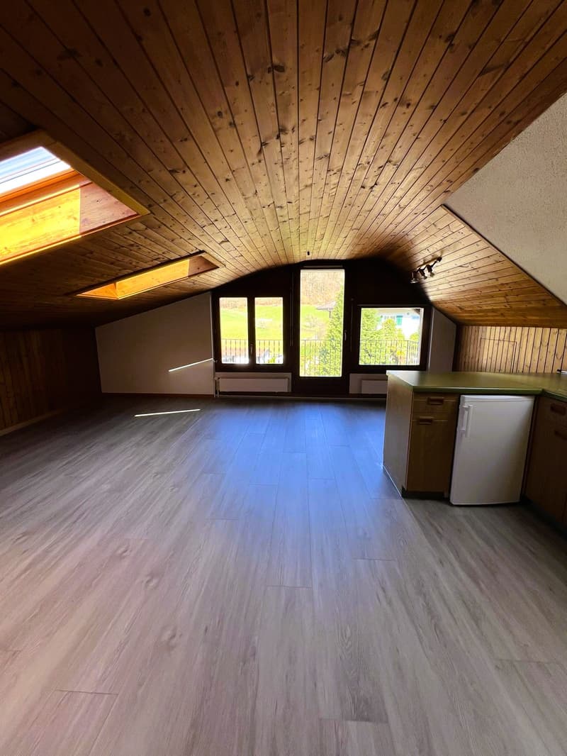 Spacious studio in Mühlethal for rent (1)