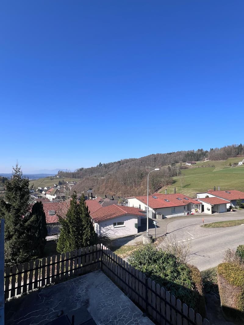 Spacious studio in Mühlethal for rent (2)