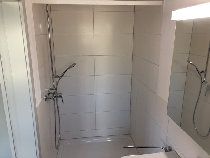 Appartement moderne 3.5 pièces avec terrasse (7)