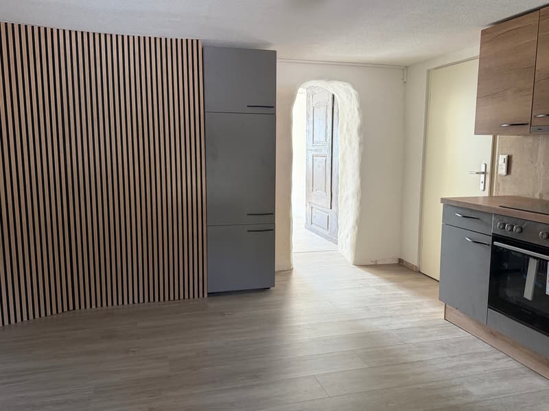Charmante 2.5-Zimmer-Altbauwohnung im Erdgeschoss in Hägendorf (2)