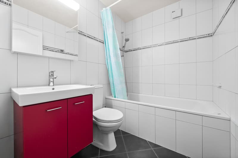 Magnificent 4.5-room apartment in Collombey (11)