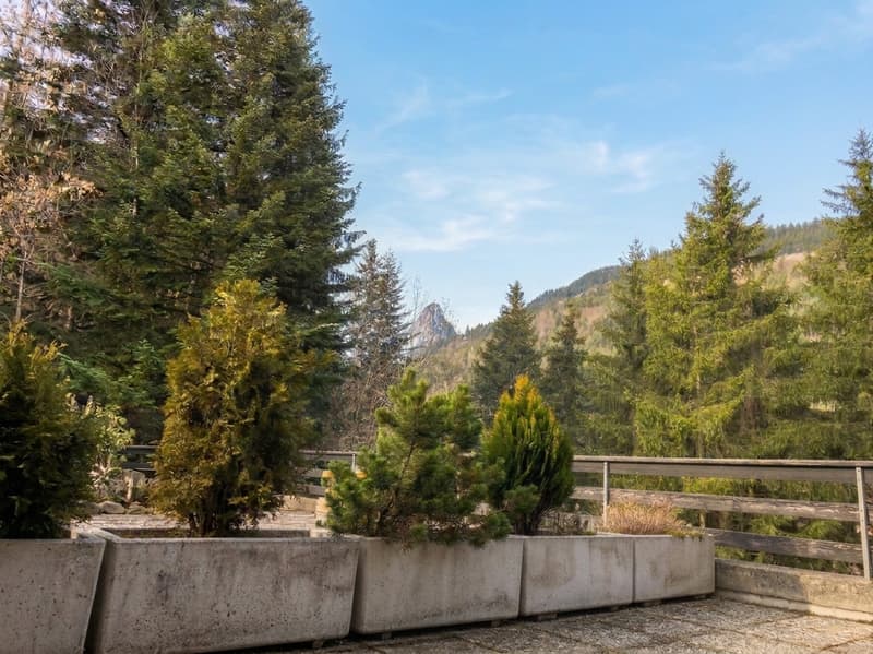 Renovated duplex for sale in Torgon with mountain views (5)
