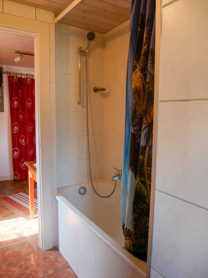 Charming 3.5-room apartment in Massongex (9)