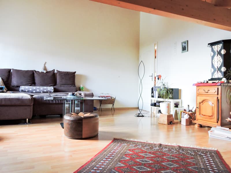 3.5 pièces avec cachet dans une petite PPE aux Evouettes (4)