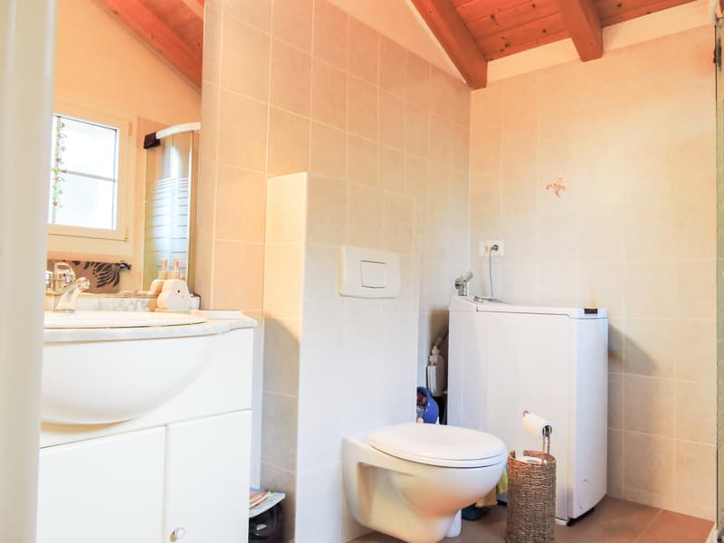 3.5 pièces avec cachet dans une petite PPE aux Evouettes (12)