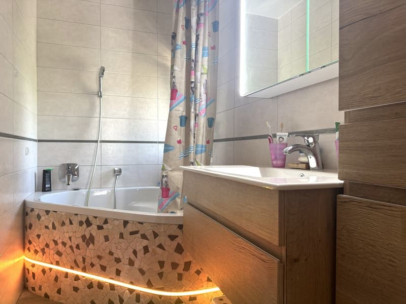 Charming 4.5-room apartment just two steps from the train station and schools (12)