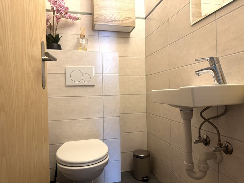 Charming 4.5-room apartment just two steps from the train station and schools (5)