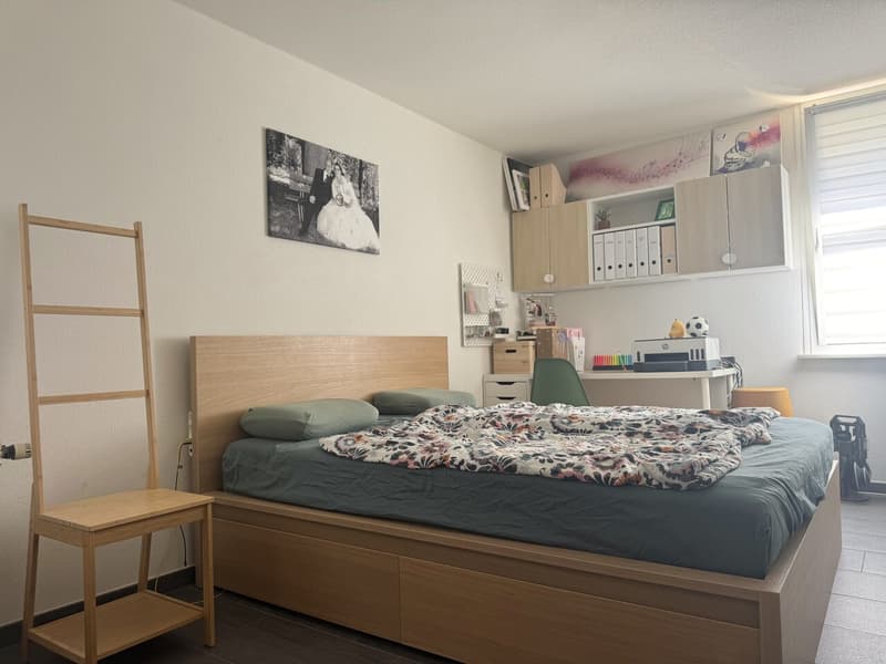 Charming 4.5-room apartment just two steps from the train station and schools (13)