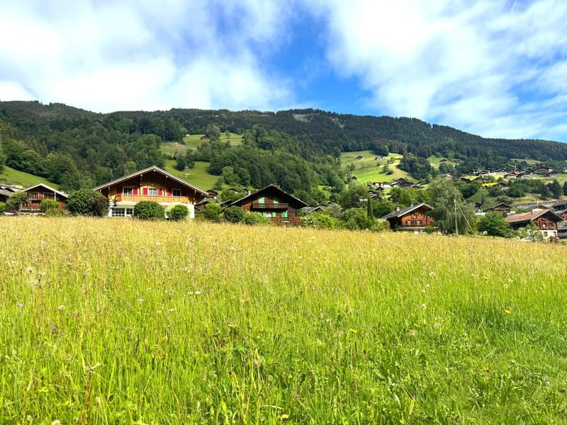 Building plot of 972 m² in Val-d'Illiez (1)