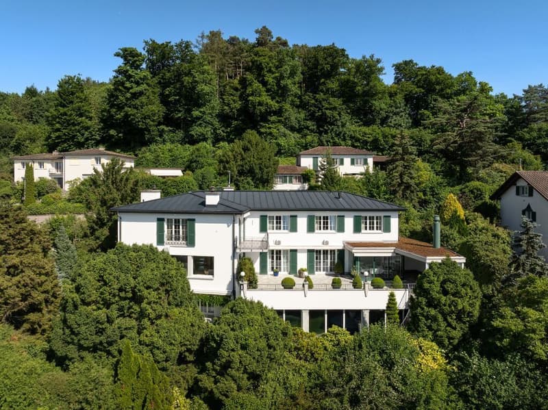 Villa Heart | ZH (2)