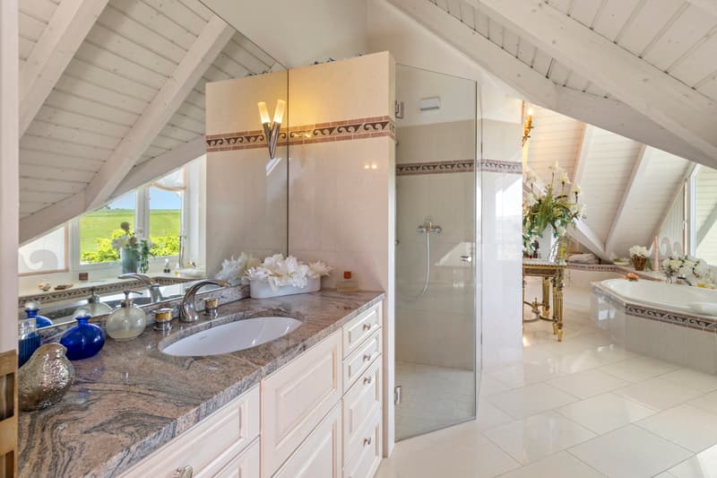 Grand Maisonette | ZH (8)