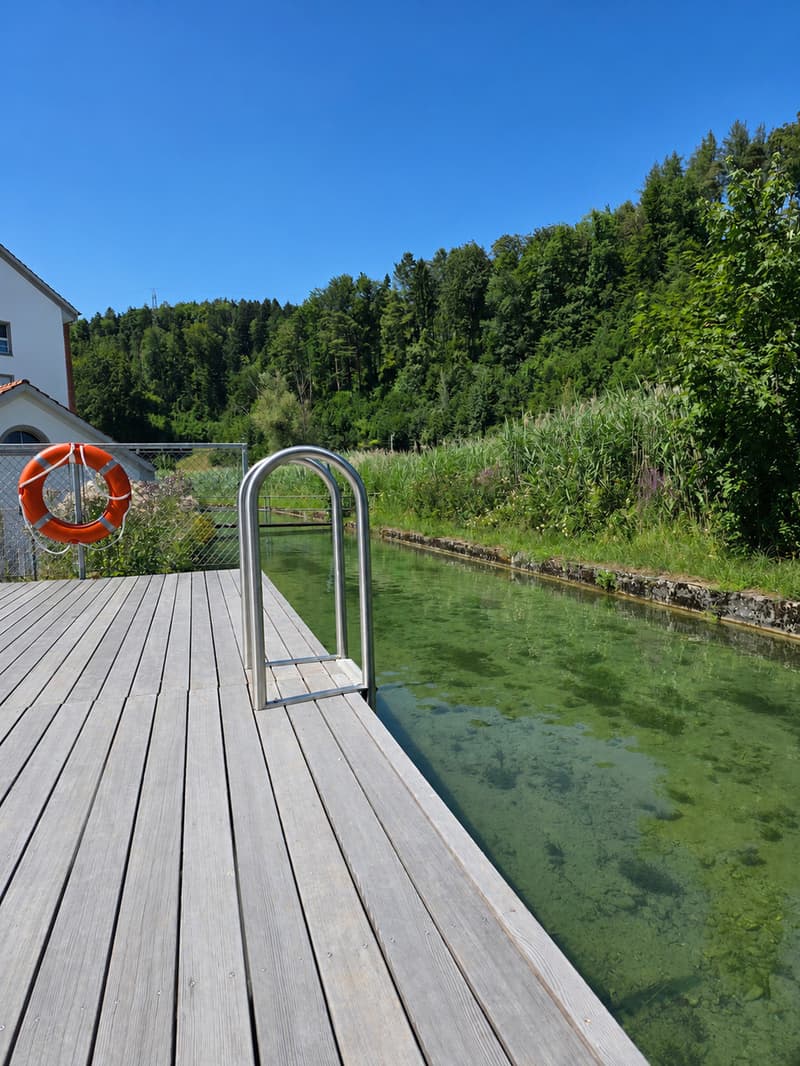 Villa Bühler | ZH (10)