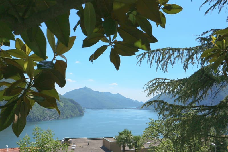 Lugano Panorama | TI (1)