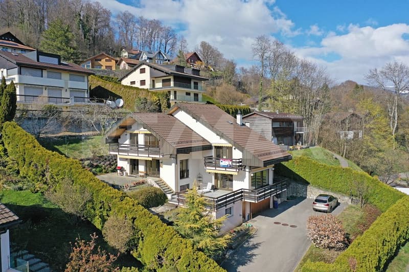 Villa d'exception de 7 pièces dans un écrin de paix sur les hauteurs de Vevey (2)