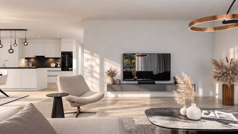 Moderne 3.5-Zimmer-Attika Wohnung  im Neubau – Reinach AG (8)