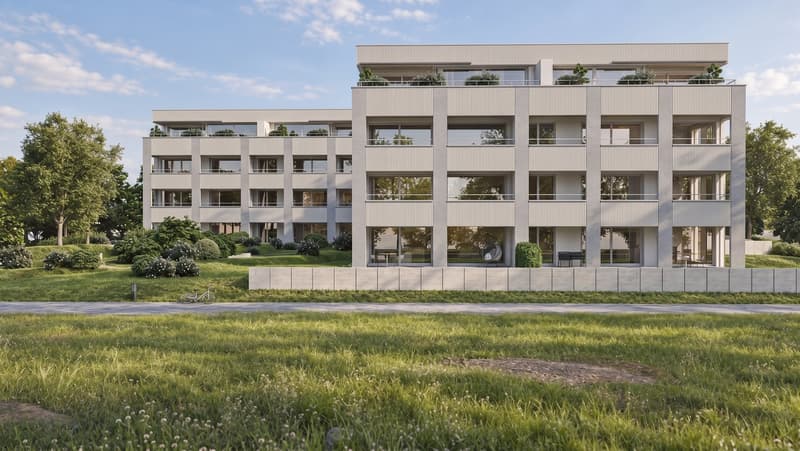 Neubau-Eigentumswohnung «Alzbachfeld» – Moderne 5.5-Zimmer-Wohnung in Reinach AG (7)