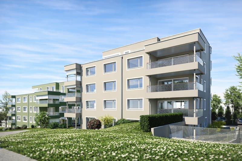 Modern 3.5-room new apartment with balcony and beautiful view in Menziken (2)
