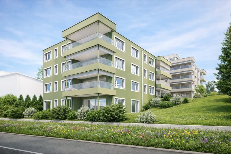 Modern 3.5-room new apartment with balcony and beautiful view in Menziken (1)