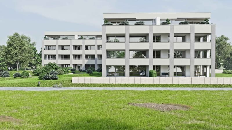 Neubau 3.5-Zimmer-Wohnung im Erdgeschoss in Reinach AG – Modern, hell und familienfreundlich (4)