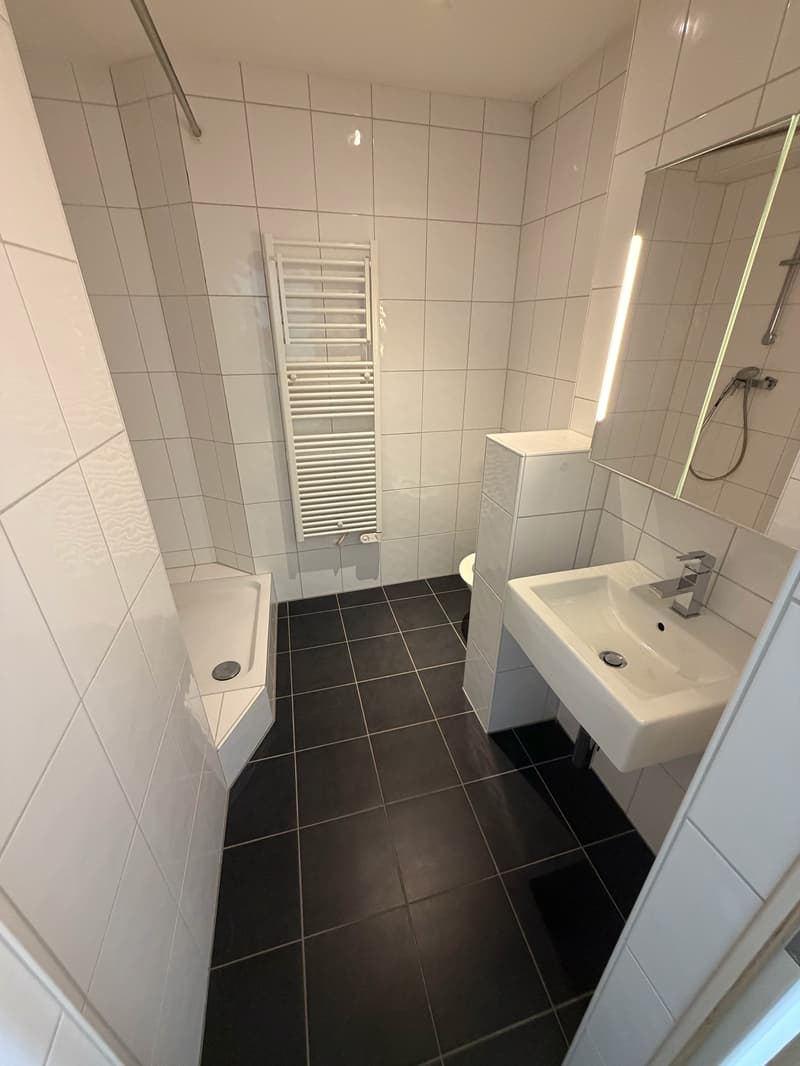 Appartement 3 pièces avec balcon à St-Imier (7)