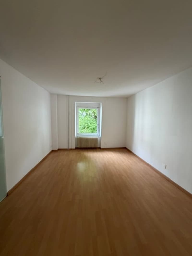 Appartamento di due locali nel centro città di Bienna (3)