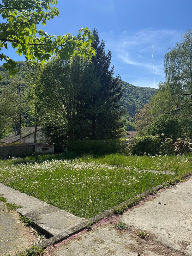 Terrain constructible avec avant-projet de villa contemporaine et rendement locatif – Péry (12)