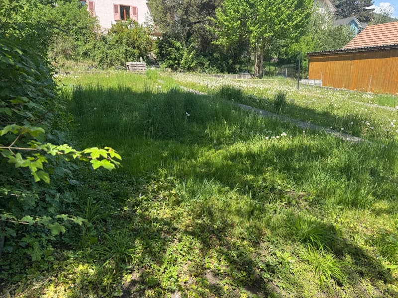 Terrain constructible avec avant-projet de villa contemporaine et rendement locatif – Péry (6)