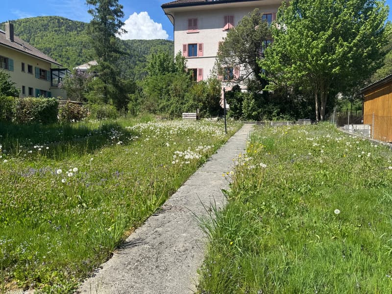 Terrain constructible avec avant-projet de villa contemporaine et rendement locatif – Péry (5)