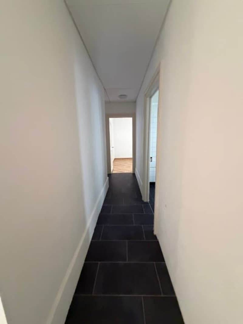 Appartamento di 4.5 locali con balcone a Biel (12)