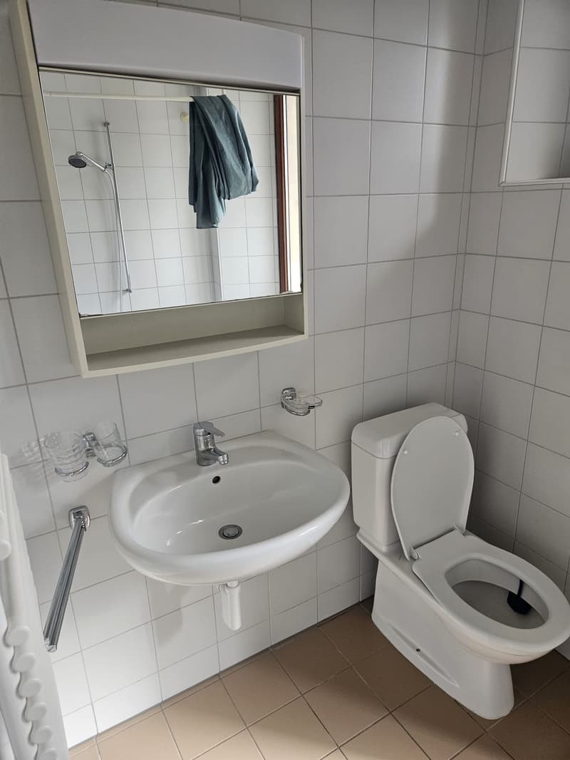 Appartement de 4 pièces à Reconvilier (9)