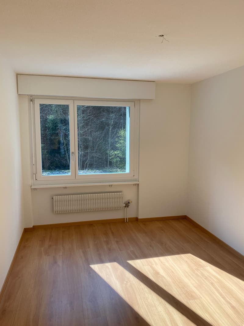 empty room, white walls, wooden floor, large window, white radiator