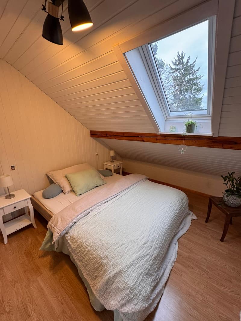 Charming attic apartment with lake view (6)