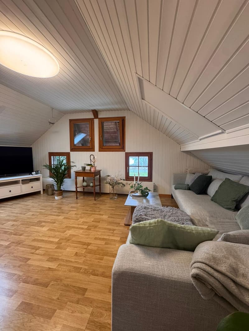Charming attic apartment with lake view (5)