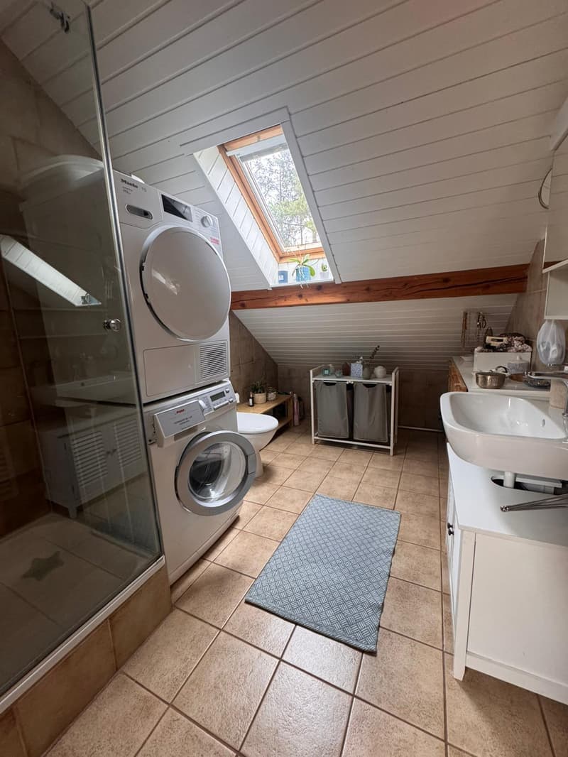 Charming attic apartment with lake view (7)