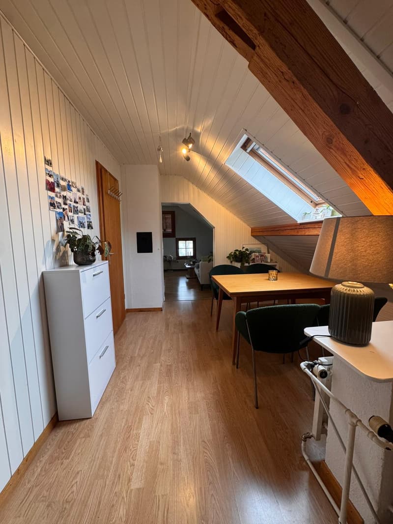 Charming attic apartment with lake view (4)