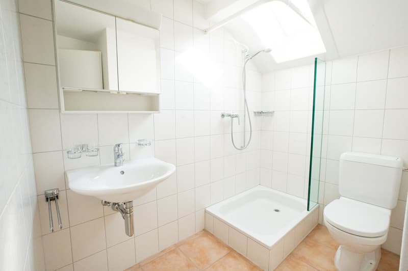 zentrale Dachwohnung (5)