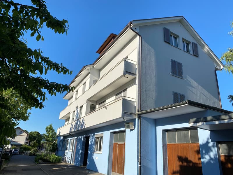 zentrale Dachwohnung (1)