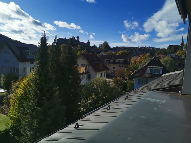 Charmante 1.5-Zimmer-Dachwohnung mit Balkon in Burgdorf (7)