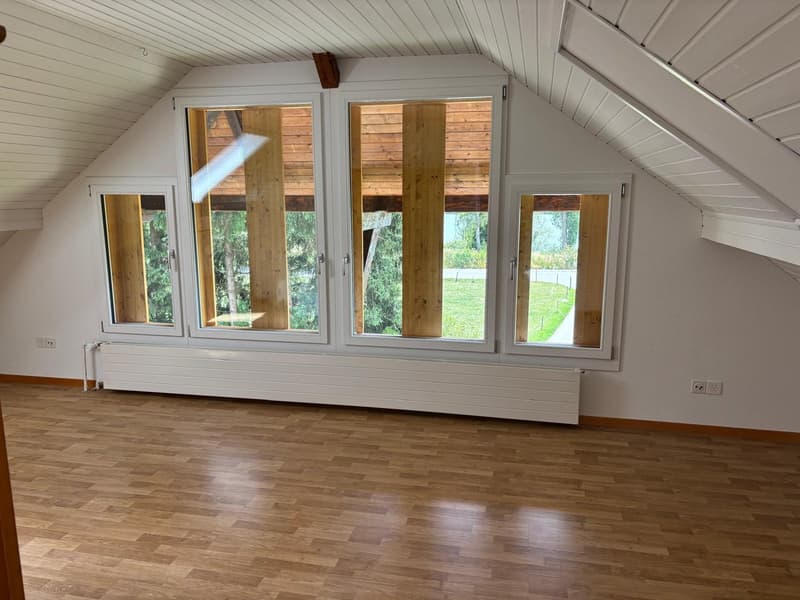 Charmante Dachwohnung mit Seesicht (1)