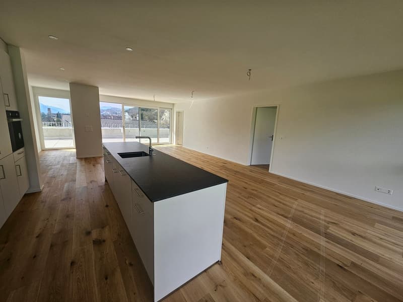Notre dernière attique vous attend, 80m2 de terrasse et vue imprenable (7)